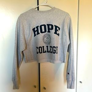 This is a cut off women’s small sweatshirt (bought product like) from Champion.